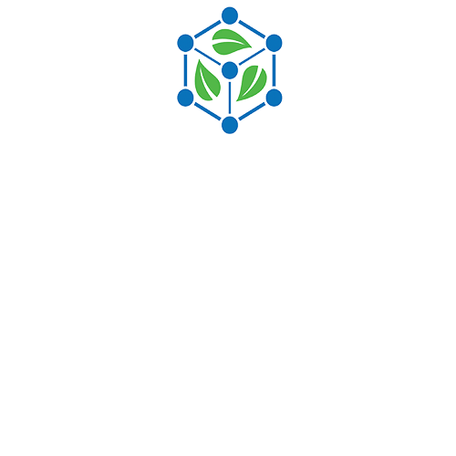 صفحه اصلی