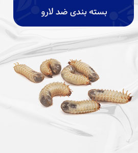 بسته بندی ضد لارو و حشرات اکتویت 