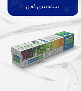  بست بندی فعال
